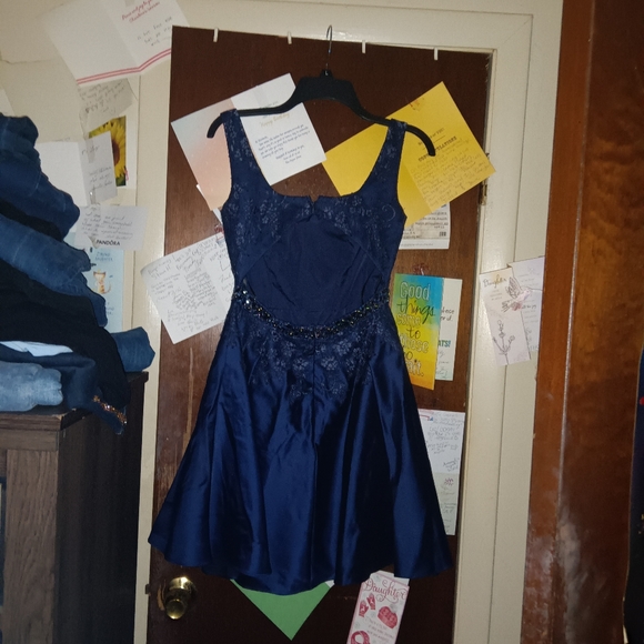 ALYCE PARIS fit and flare formal dress - Picture 7 of 8